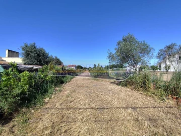 Terreno para Venda em Salvaterra de Magos e Foros de Salvaterra