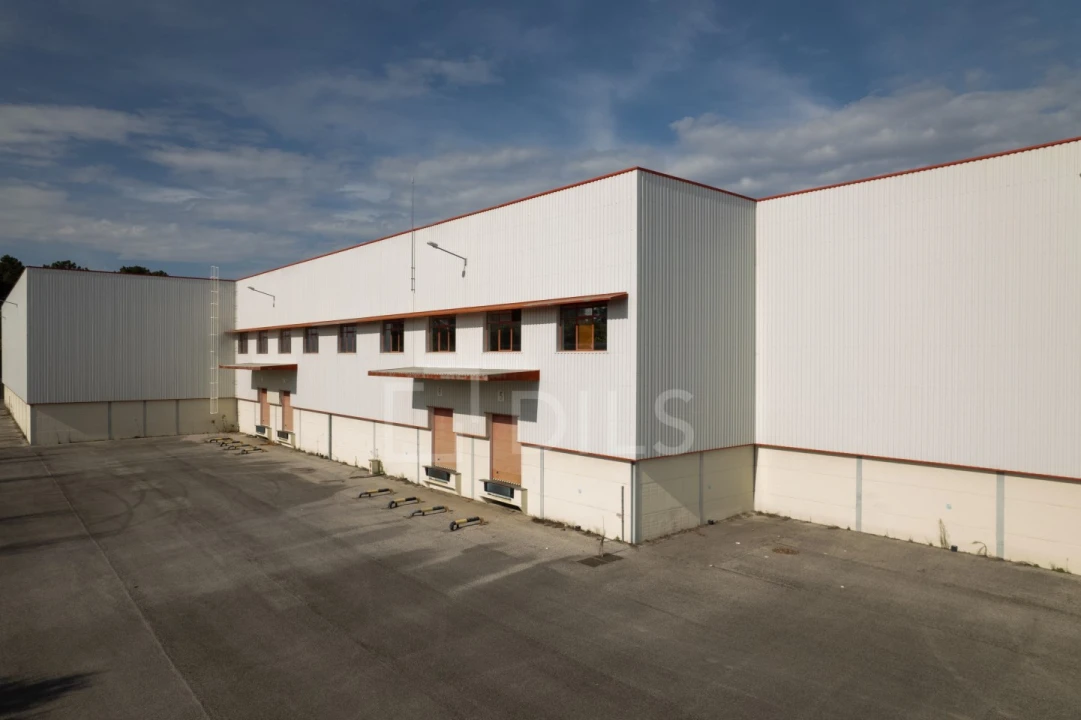 Armazém para Arrendamento em Vale da Pedra Foto 12