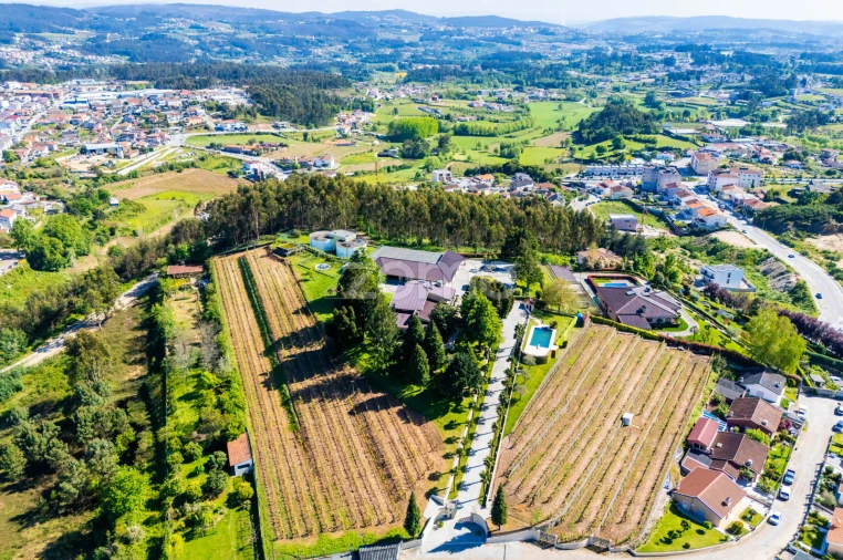 Moradia T6 para Venda em Cristelos, Boim e Ordem Foto 60