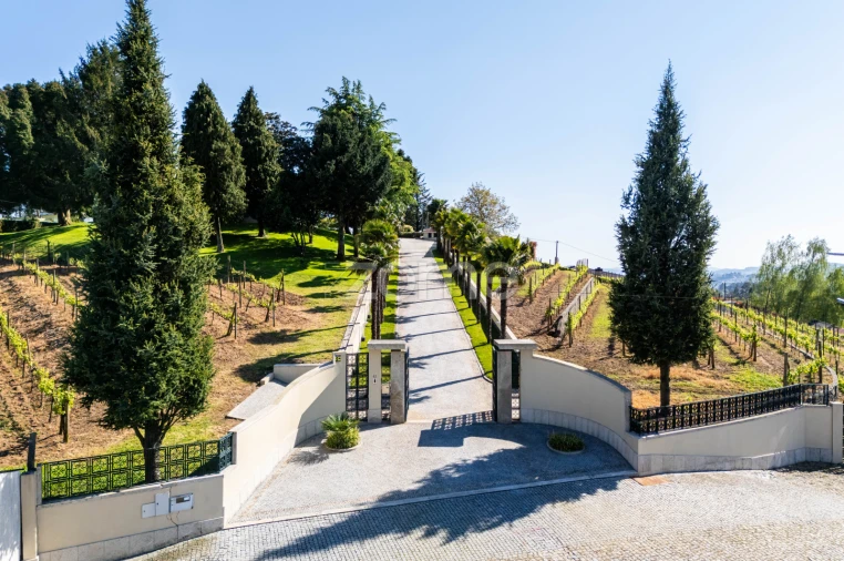 Moradia T6 para Venda em Cristelos, Boim e Ordem Foto 56