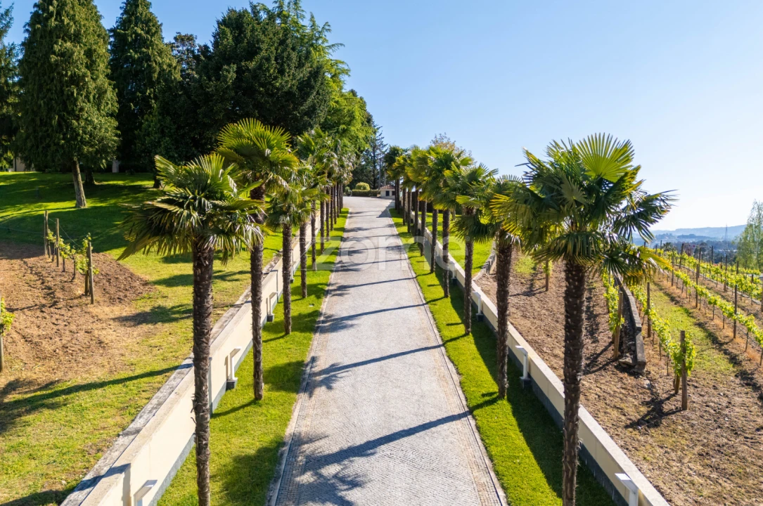 Moradia T6 para Venda em Cristelos, Boim e Ordem Foto 54