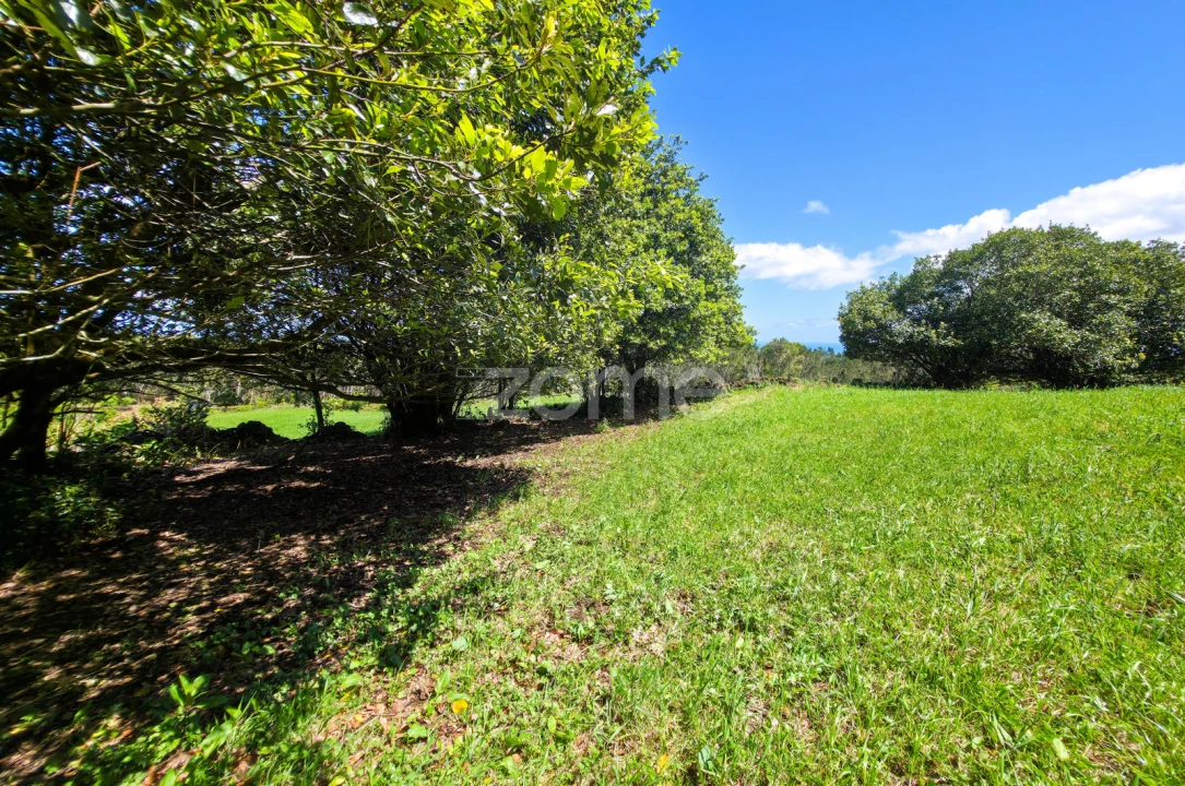 Terreno para Venda em Pico da Pedra Foto 10