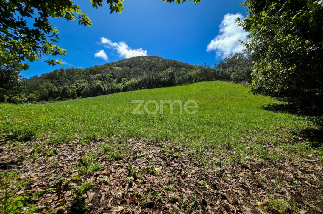 Terreno para Venda em Pico da Pedra Foto 9