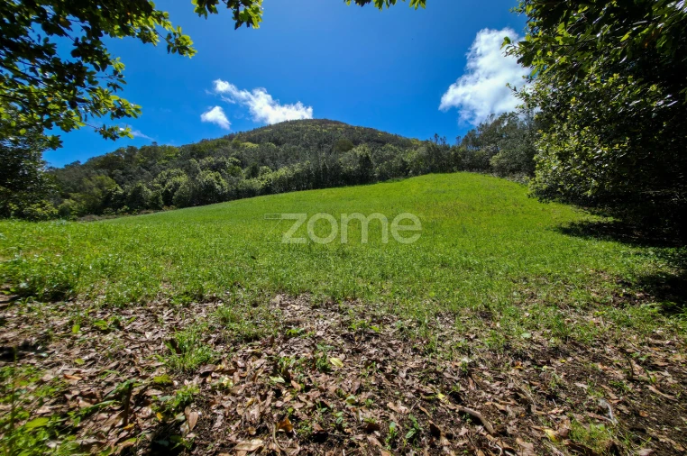 Terreno para Venda em Pico da Pedra Foto 9