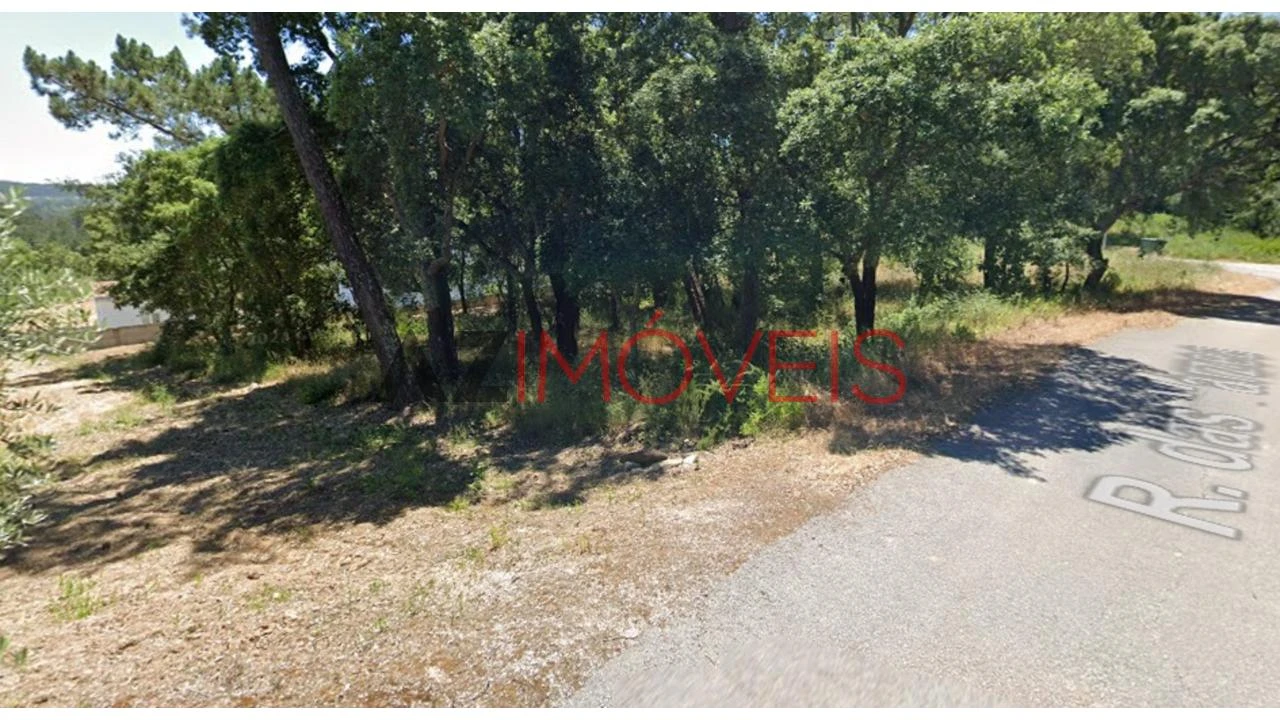 Terreno para Venda em Vila Cã Foto 3