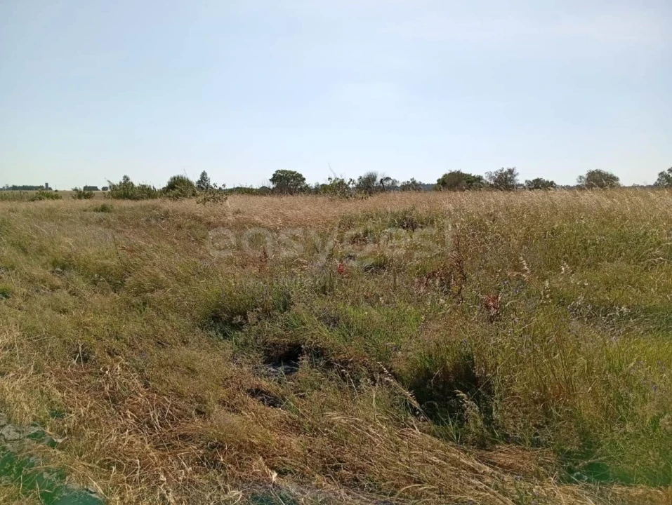 Terreno para Venda em Canha Foto 8