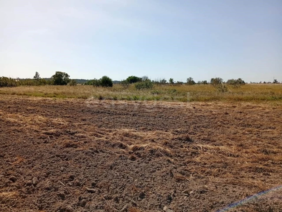 Terreno para Venda em Canha Foto 11