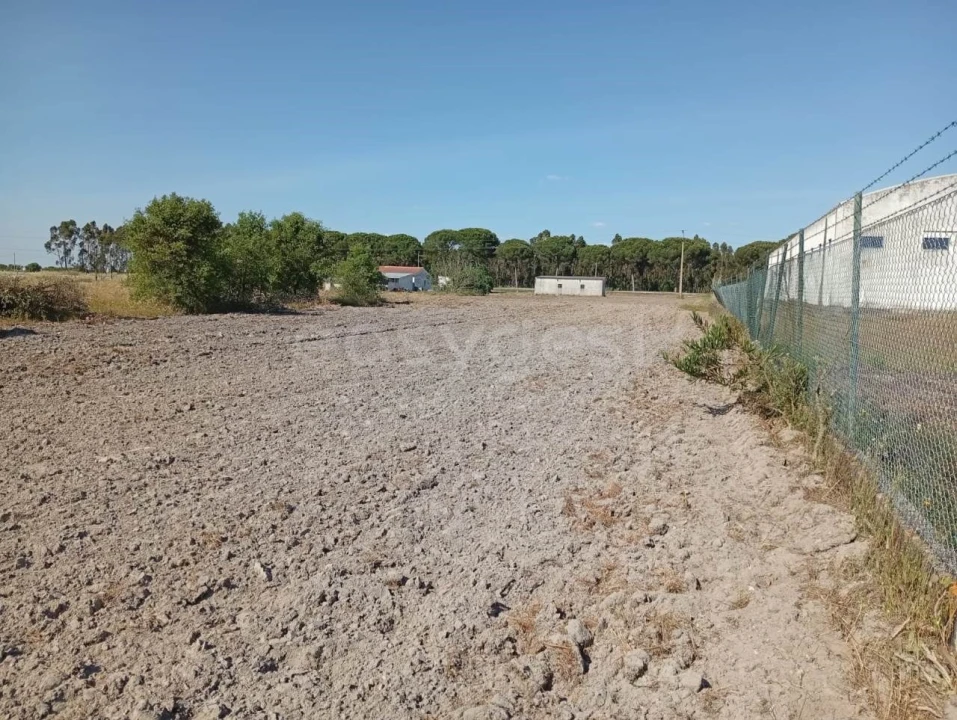 Terreno para Venda em Canha Foto 13