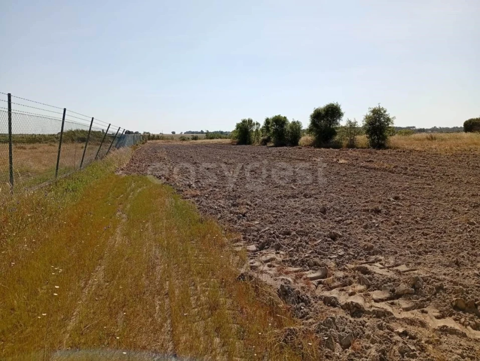 Terreno para Venda em Canha Foto 16