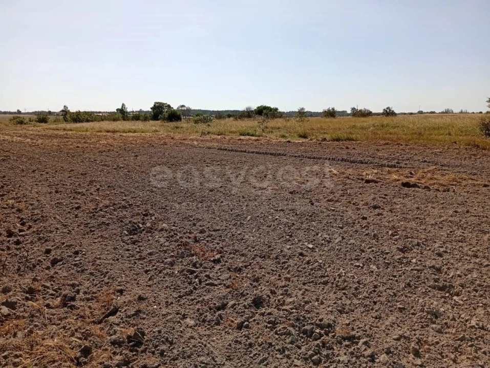 Terreno para Venda em Canha Foto 17