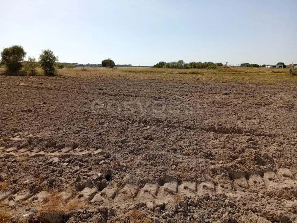 Terreno para Venda em Canha Foto 19