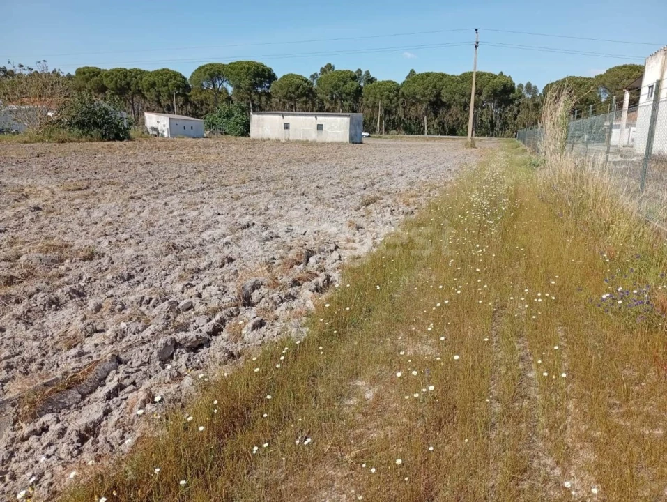Terreno para Venda em Canha Foto 20