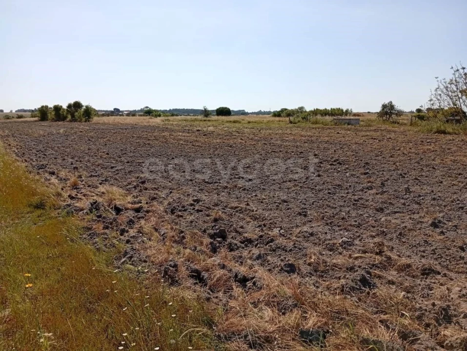 Terreno para Venda em Canha Foto 21