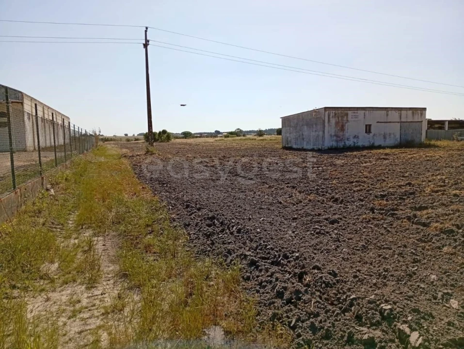 Terreno para Venda em Canha Foto 23