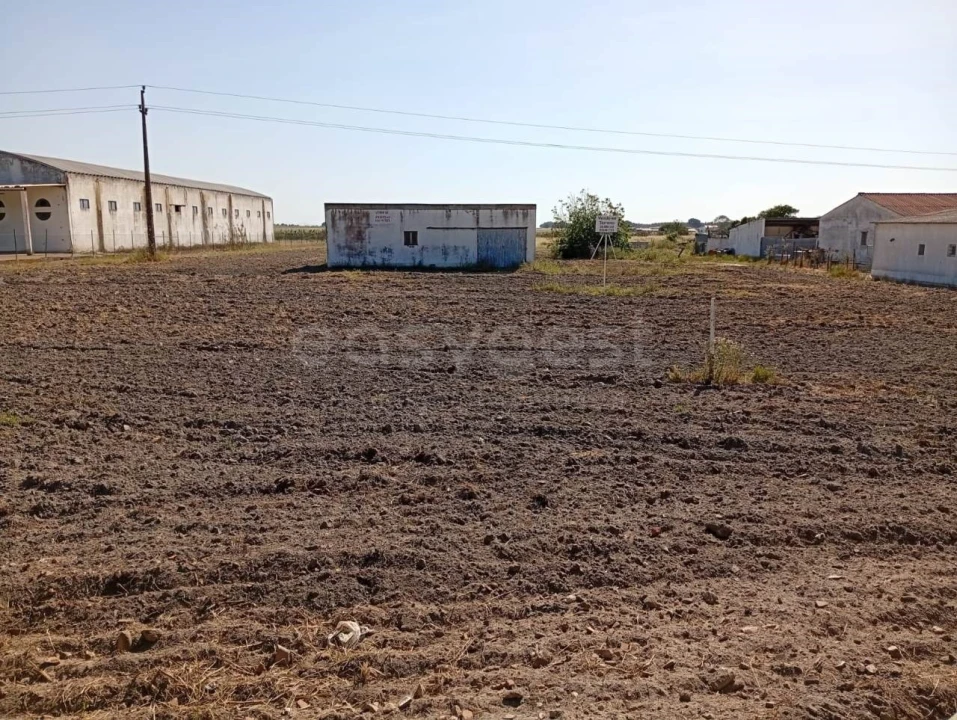 Terreno para Venda em Canha Foto 25