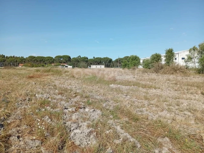 Terreno para Venda em Canha Foto 7