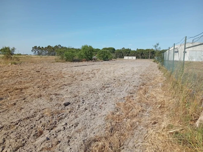 Terreno para Venda em Canha Foto 9