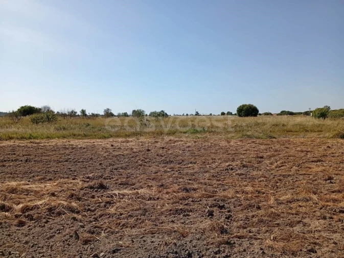 Terreno para Venda em Canha Foto 10