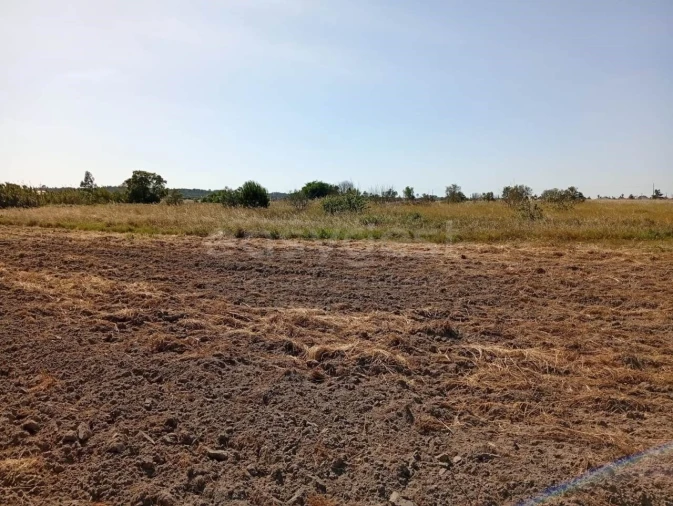 Terreno para Venda em Canha Foto 11