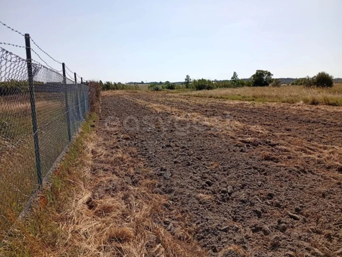 Terreno para Venda em Canha Foto 14