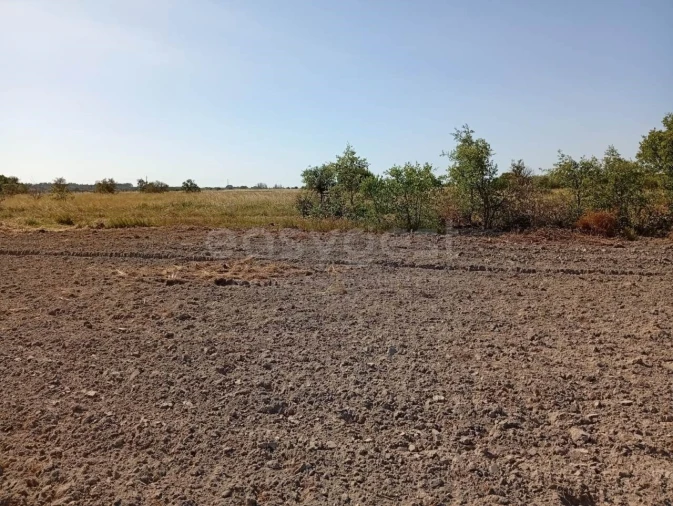 Terreno para Venda em Canha Foto 15