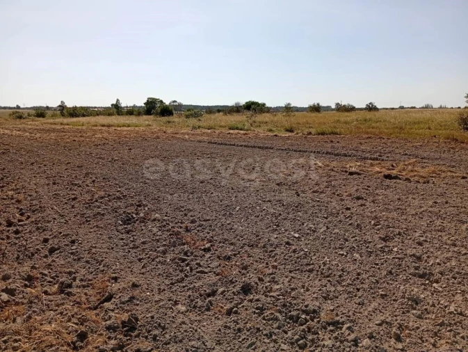 Terreno para Venda em Canha Foto 17