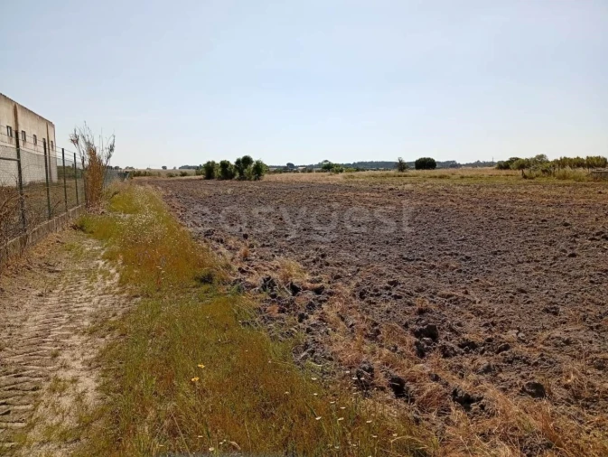 Terreno para Venda em Canha Foto 18