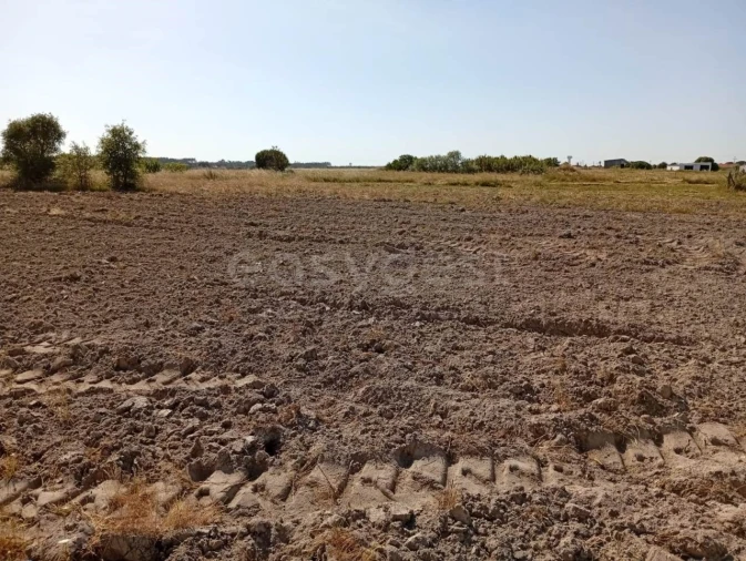 Terreno para Venda em Canha Foto 19