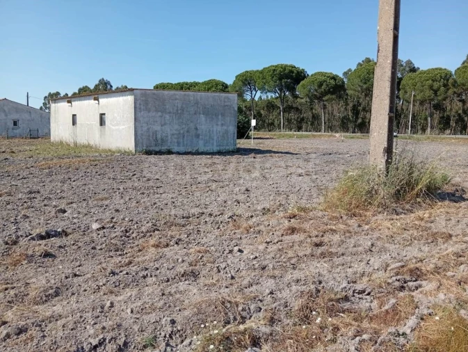 Terreno para Venda em Canha Foto 22