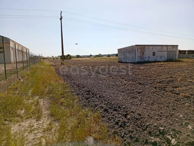 Terreno para Venda em Canha Foto 23