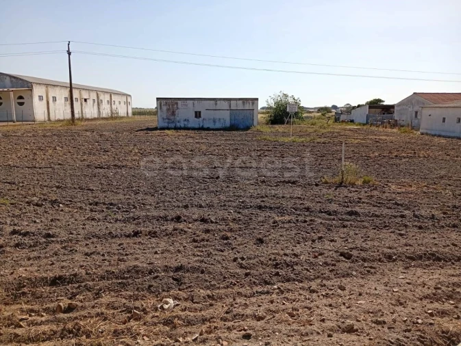 Terreno para Venda em Canha Foto 25