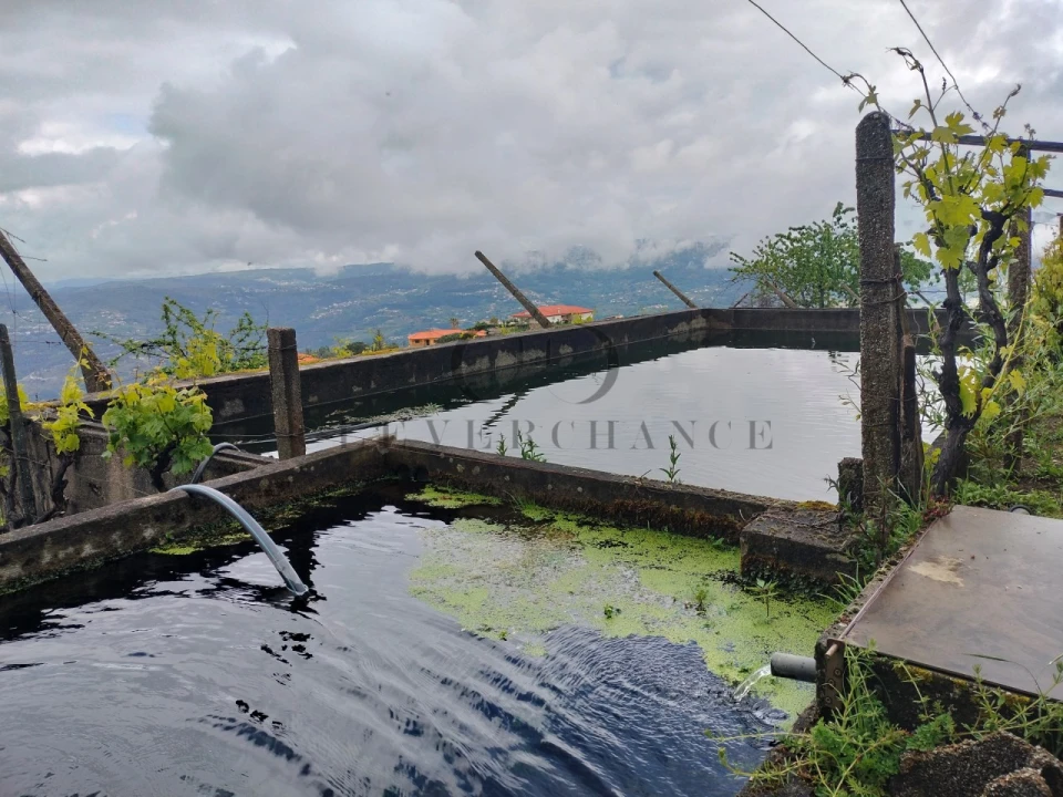 Quinta T2 para Venda em Barro Foto 32