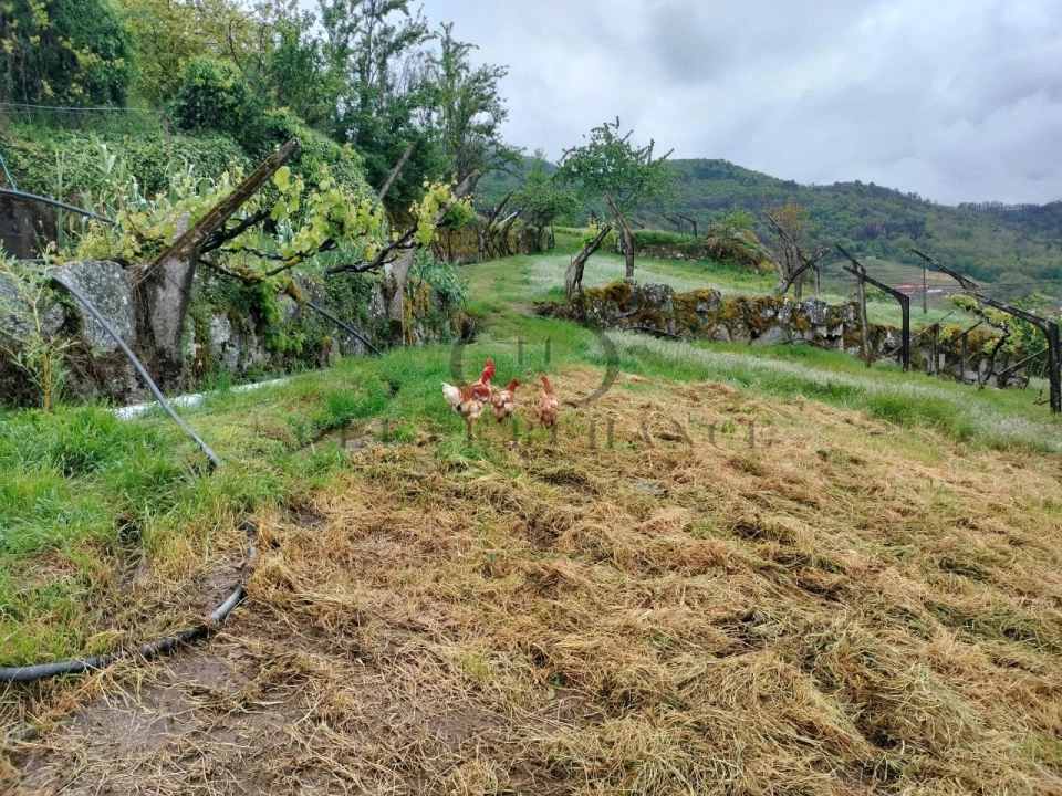 Quinta T2 para Venda em Barro Foto 41