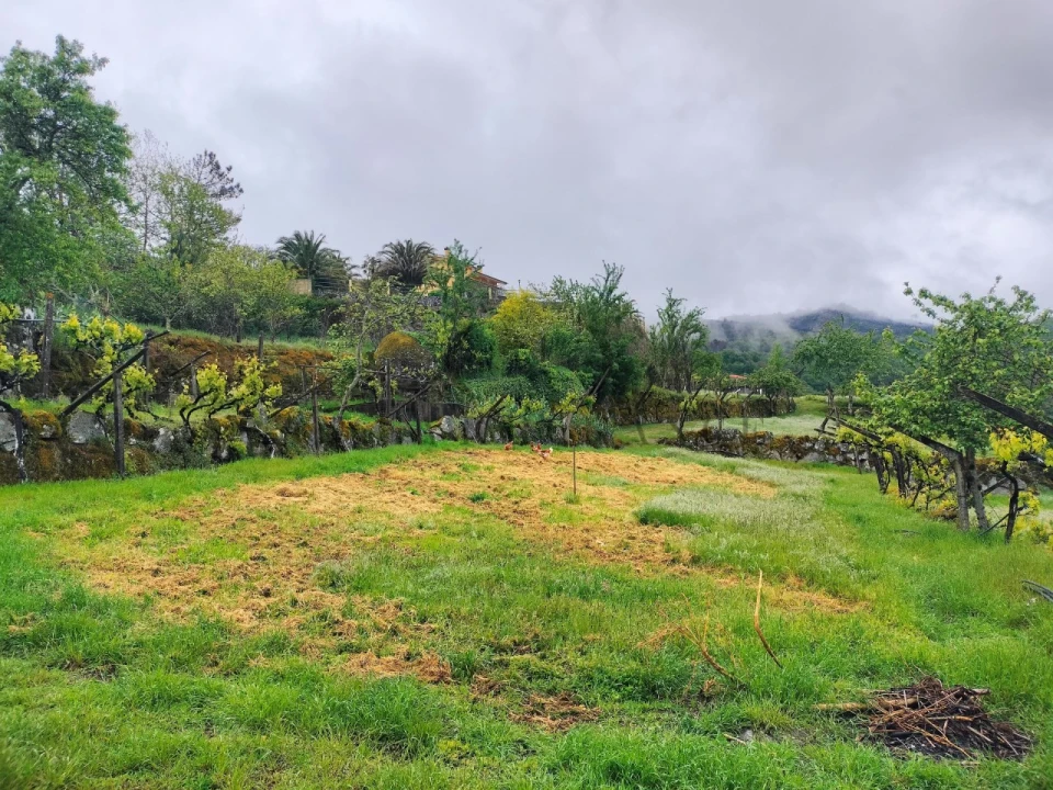 Quinta T2 para Venda em Barro Foto 42