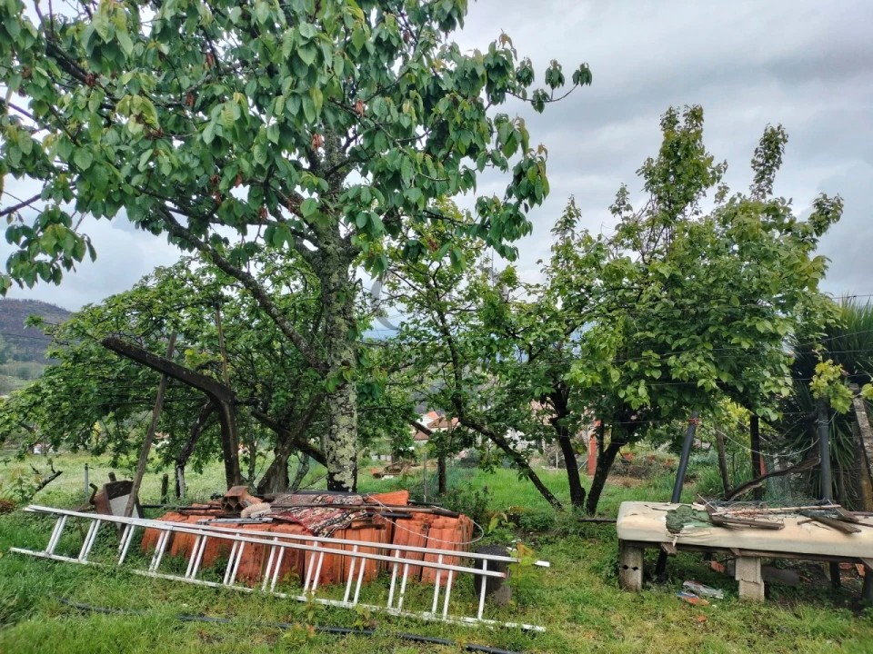 Quinta T2 para Venda em Barro Foto 43