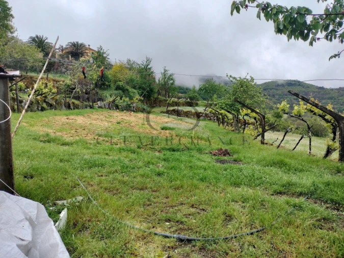 Quinta T2 para Venda em Barro Foto 31