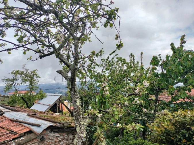 Quinta T2 para Venda em Barro Foto 33