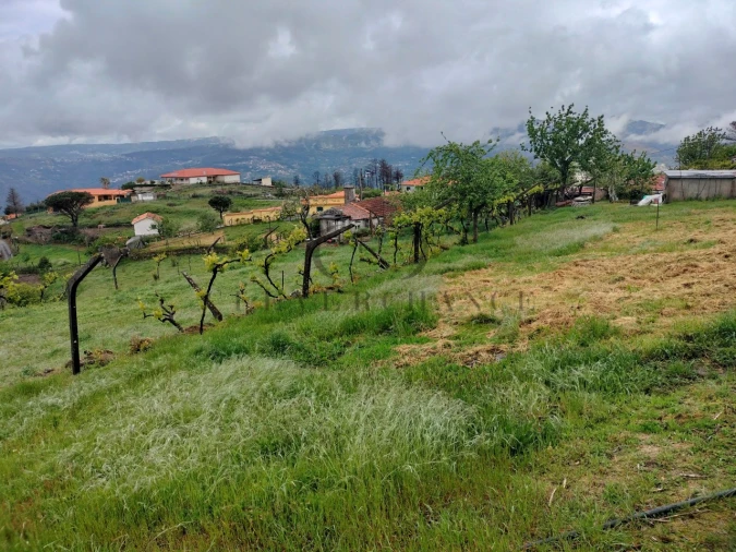 Quinta T2 para Venda em Barro Foto 36