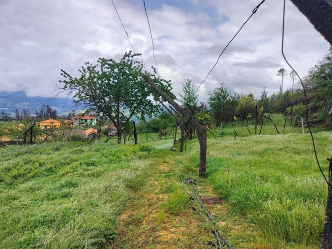 Quinta T2 para Venda em Barro Foto 38