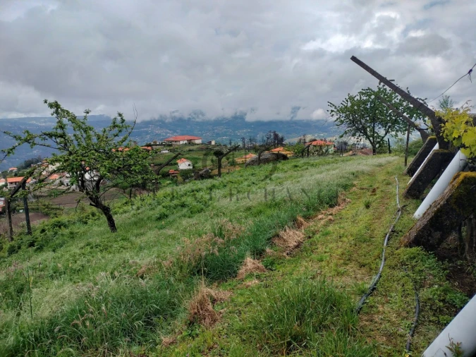 Quinta T2 para Venda em Barro Foto 39