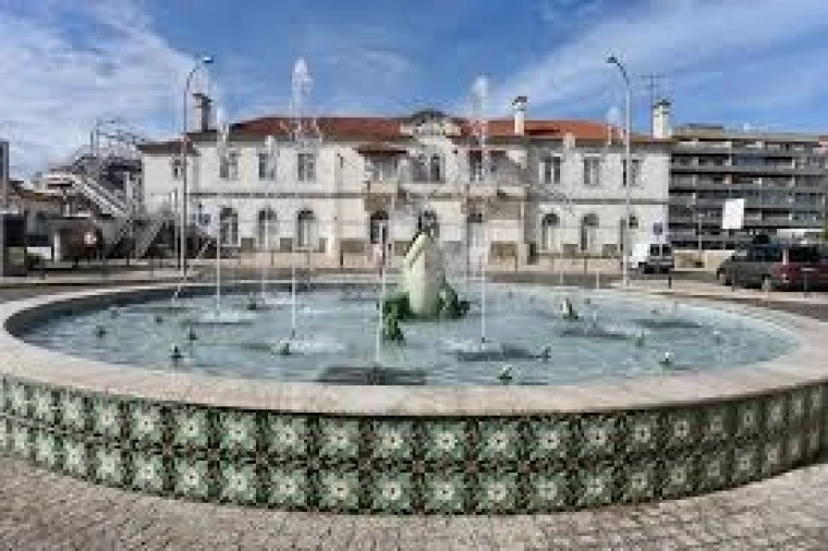 Terreno para Venda em Salir de Matos Foto 9