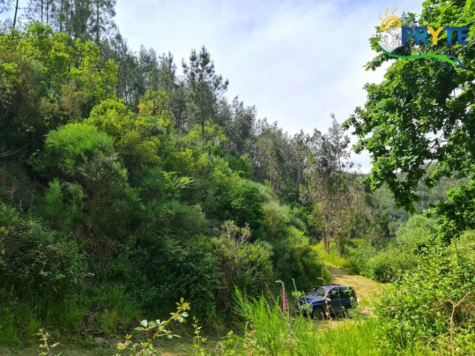 Terreno para Venda em Castelo Foto 45