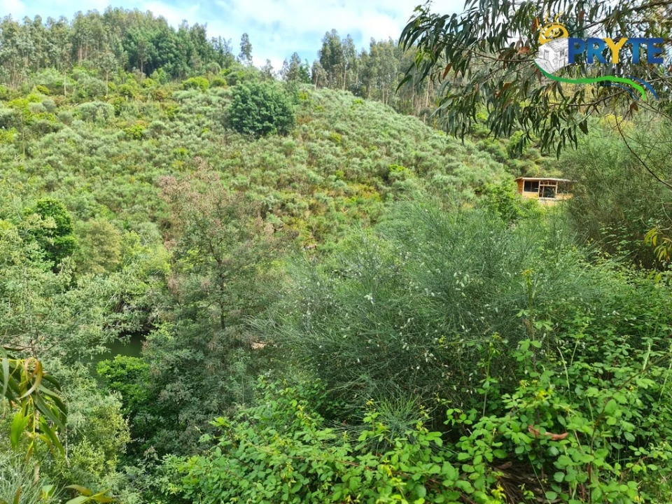Terreno para Venda em Castelo Foto 50