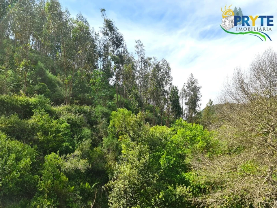 Terreno para Venda em Castelo Foto 51