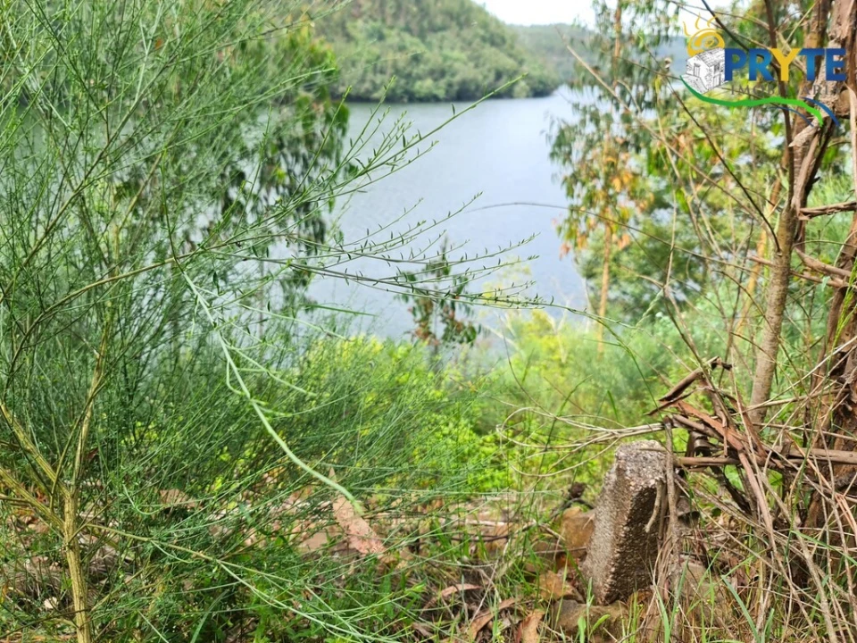 Terreno para Venda em Castelo Foto 52