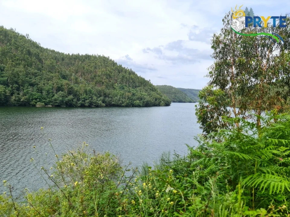 Terreno para Venda em Castelo Foto 56