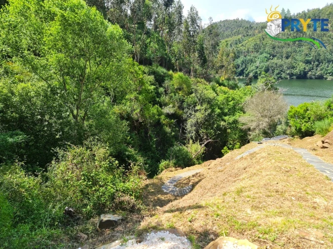 Terreno para Venda em Castelo Foto 26