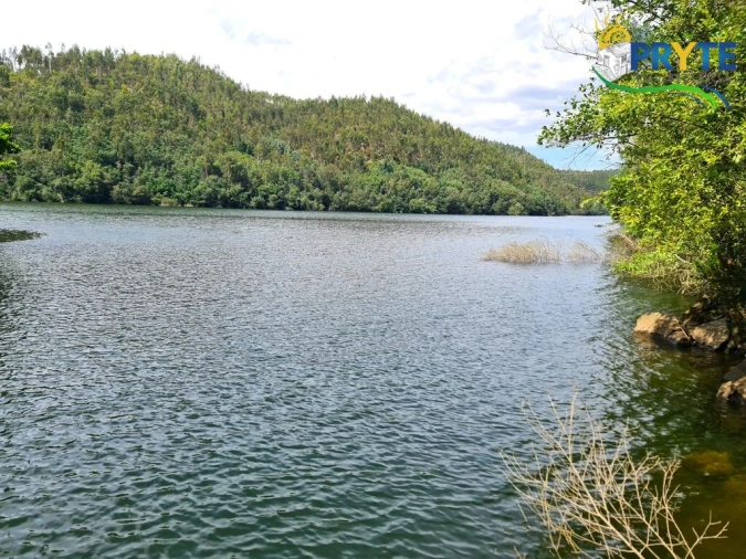 Terreno para Venda em Castelo Foto 32