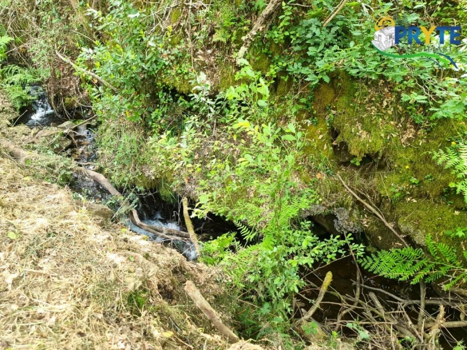 Terreno para Venda em Castelo Foto 35