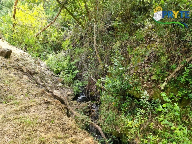 Terreno para Venda em Castelo Foto 36